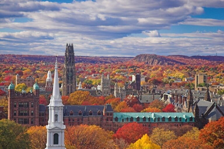 new haven county